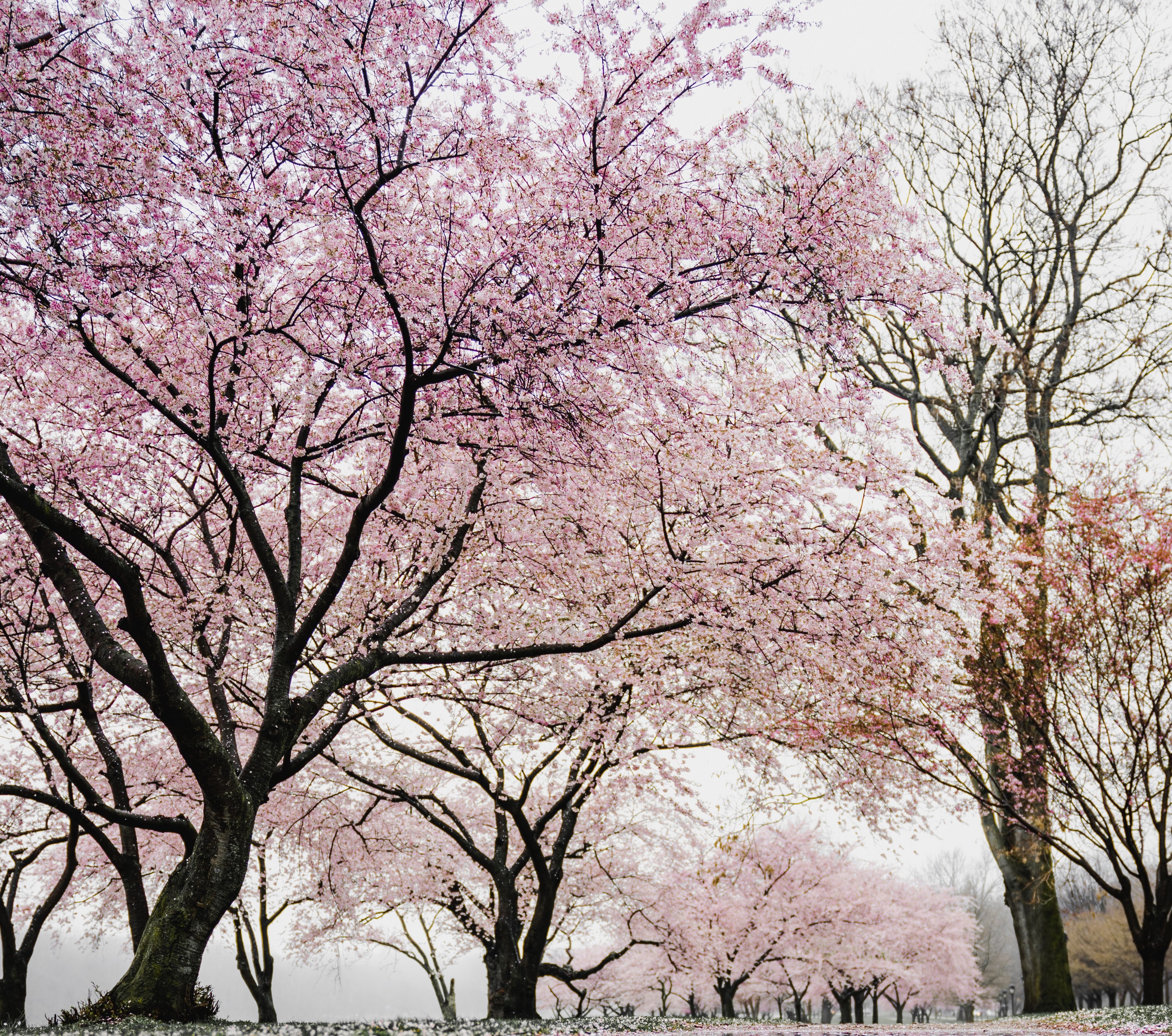 When There Seems to be no Reason for This Never-Ending Season | Encouragement for this Season of Life | Encouragement for Difficult Seasons | Life Changes | justbeautifullyhonest.com