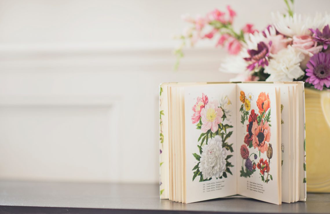What I'm Looking Forward To: April | Daily Encouragement | justbeautifullyhonest.com